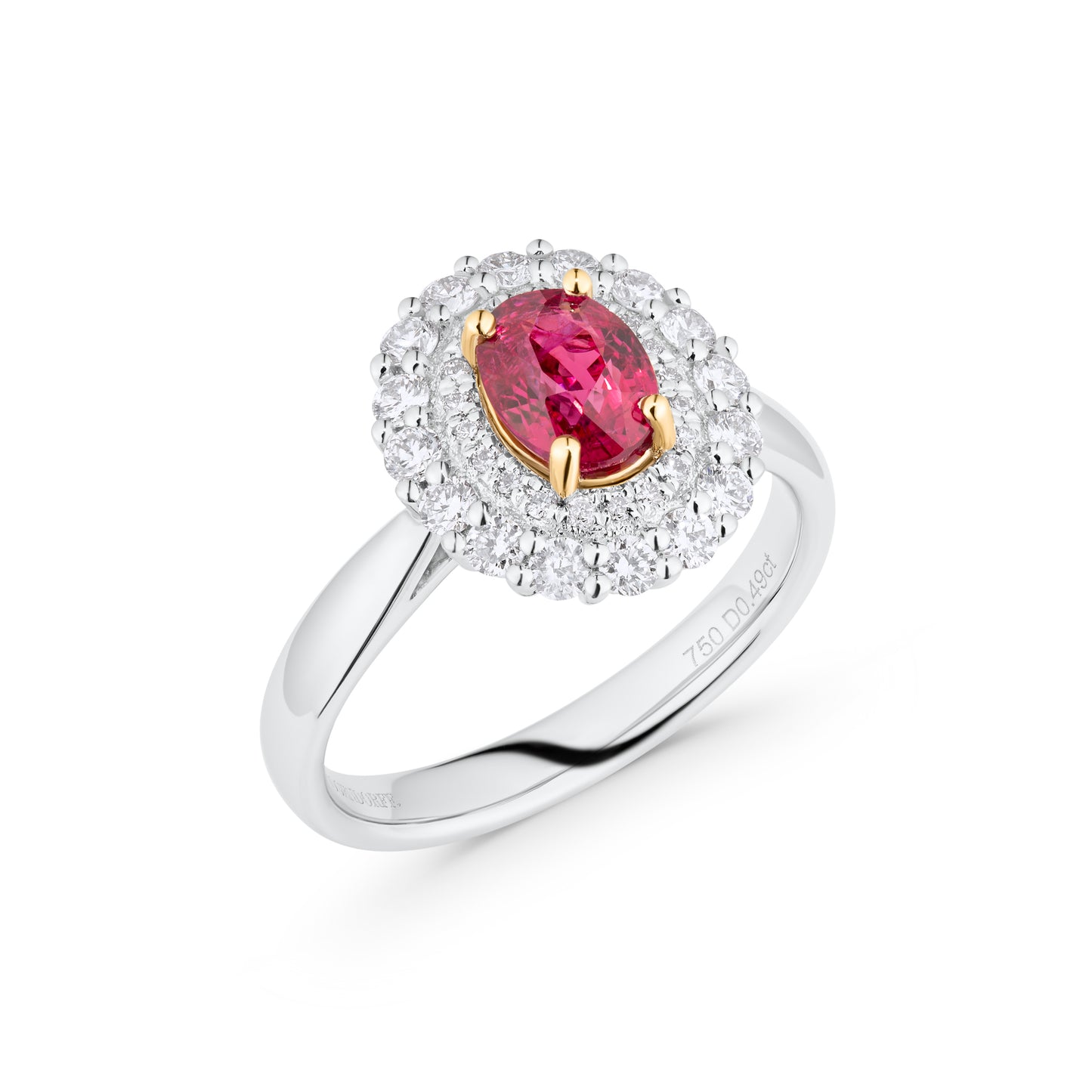 Ruby And Diamond Double Halo Ring